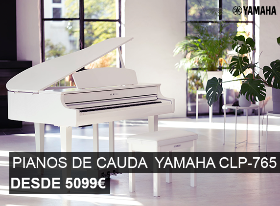 Grátis  5 anos de Garantia  Grátis  Encomenda Bem compre na egitana a melhor loja de instrumentos musicais Embalada e Protegida